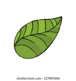 leaf natural ecology icon vector illustration graphic design