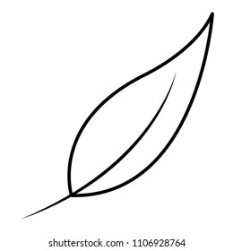 leaf natural foliage fresh image