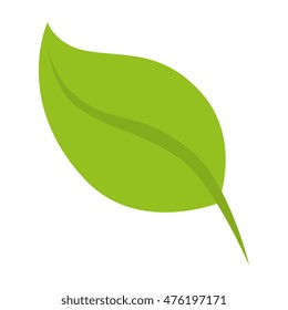 leaf natural green plant ecology sheet foliage enviroment vector illustration