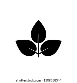 leaf, natural icon template