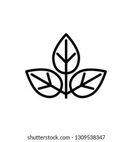 leaf, natural icon template