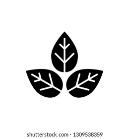 leaf, natural icon template