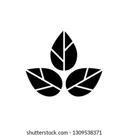 leaf, natural icon template