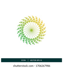 Blattdesign oder Naturverzierungshintergrund, Vektorgrafik10