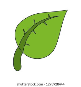 Leaf natural symbol isolated