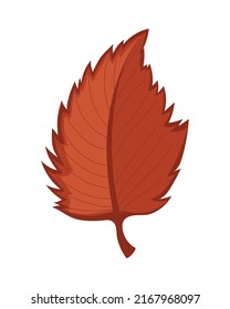 leaf nature autumn icon isolated