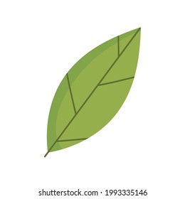 icono de aislamiento botánico de naturaleza foliar