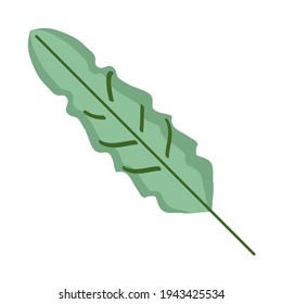 leaf nature botanical hand drawn