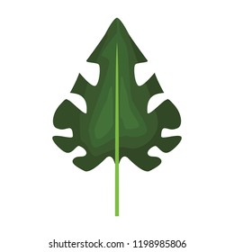 Leaf nature cartoon