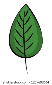 Leaf nature cartoon