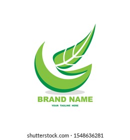 leaf nature design logo green color - illustration - vector