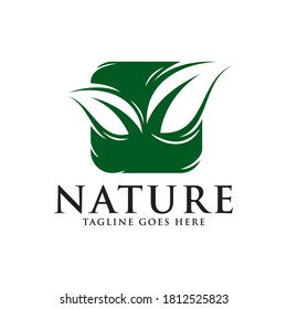 Leaf nature eco green logo concept icon vector template.