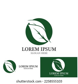 leaf nature ecology icon vector illustration template design
