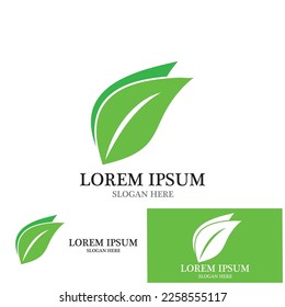 leaf nature ecology icon vector illustration template design