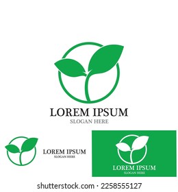 leaf nature ecology icon vector illustration template design
