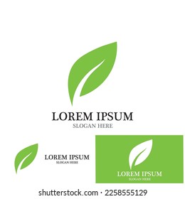 leaf nature ecology icon vector illustration template design