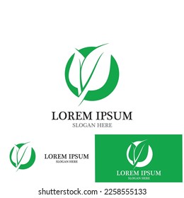 leaf nature ecology icon vector illustration template design