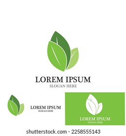 diseño de ilustraciones vectoriales de iconos de ecología de la naturaleza de la hoja