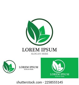 leaf nature ecology icon vector illustration template design
