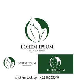 leaf nature ecology icon vector illustration template design