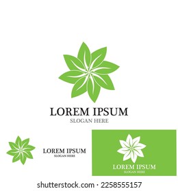leaf nature ecology icon vector illustration template design