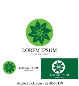 leaf nature ecology icon vector illustration template design