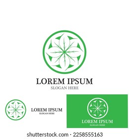 leaf nature ecology icon vector illustration template design