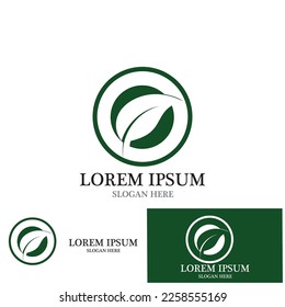 leaf nature ecology icon vector illustration template design