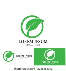 leaf nature ecology icon vector illustration template design