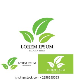 leaf nature ecology icon vector illustration template design