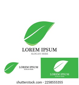 leaf nature ecology icon vector illustration template design