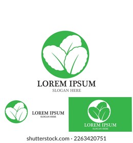 leaf nature ecology icon vector illustration template design