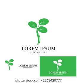 leaf nature ecology icon vector illustration template design