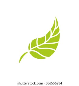 leaf nature ecology icon vector illustration graphic design