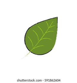 Leaf nature ecology icon vector illustration graphic design