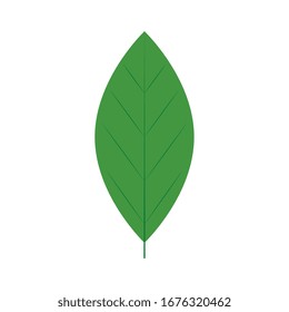 leaf nature ecology isolated icon vector illustration design