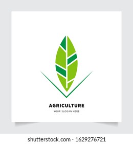 leaf nature emblem logo design for Agriculture with the concept of green leaves vector. Green nature logo used for agricultural systems, farmers, and plantation products. logo template.