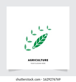 leaf nature emblem logo design for Agriculture with the concept of green leaves vector. Green nature logo used for agricultural systems, farmers, and plantation products. logo template.