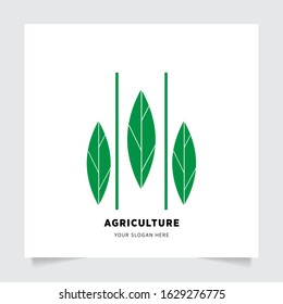 leaf nature emblem logo design for Agriculture with the concept of green leaves vector. Green nature logo used for agricultural systems, farmers, and plantation products. logo template.