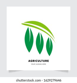 leaf nature emblem logo design for Agriculture with the concept of green leaves vector. Green nature logo used for agricultural systems, farmers, and plantation products. logo template.