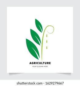leaf nature emblem logo design for Agriculture with the concept of green leaves vector. Green nature logo used for agricultural systems, farmers, and plantation products. logo template.
