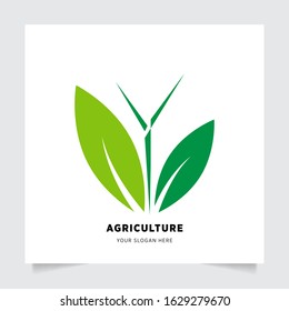 leaf nature emblem logo design for Agriculture with the concept of green leaves vector. Green nature logo used for agricultural systems, farmers, and plantation products. logo template.