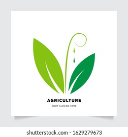leaf nature emblem logo design for Agriculture with the concept of green leaves vector. Green nature logo used for agricultural systems, farmers, and plantation products. logo template.