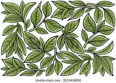 leaf nature in flat design style 