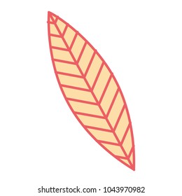 leaf nature foliage botanical
