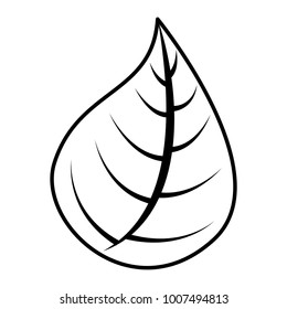 leaf nature foliage botanical icon