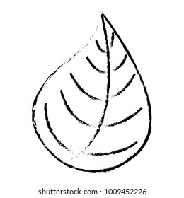 leaf nature foliage botanical icon