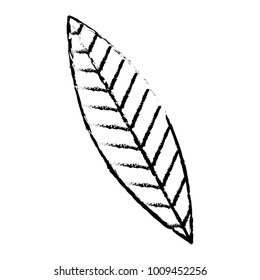leaf nature foliage botanical icon