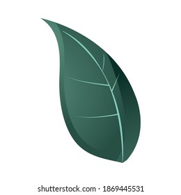 icono de follaje de naturaleza foliar sobre ilustración vectorial de fondo blanco