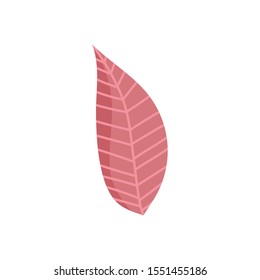 leaf nature foliage isolated icon vector illustration